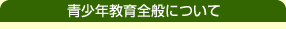 青少年教育全般について